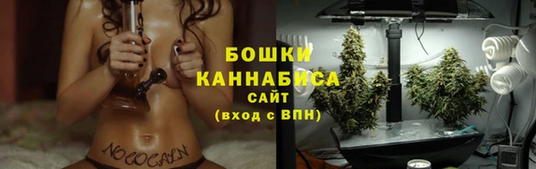 2c-b Саяногорск