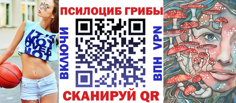 Галлюциногенные грибы Psilocybe  Купить где  Куртамыш 