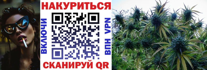 Купить закладки  Куртамыш  Бошки Шишки тримм 